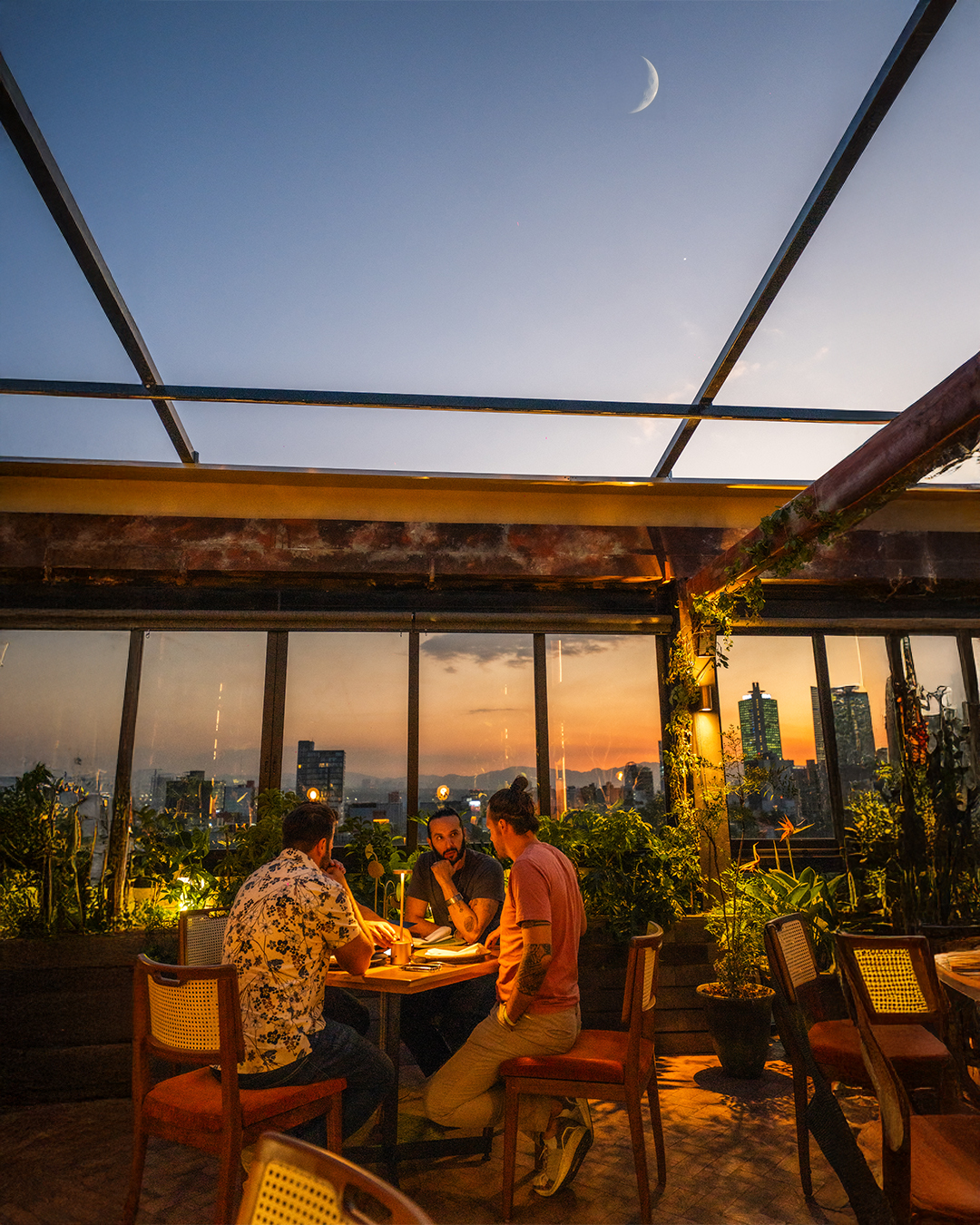Altanera Roma — rooftop at sunset over Mexico City