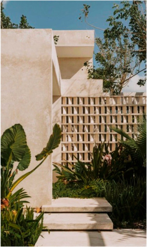 Garden wall with tropical plants